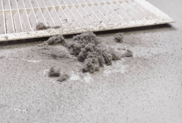 Best Professional Duct Cleaning Services  in Speer, NC